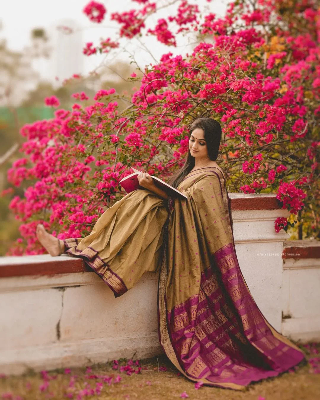 Chickoo With Purple Pure Soft Semi Silk Saree - Suratm 2