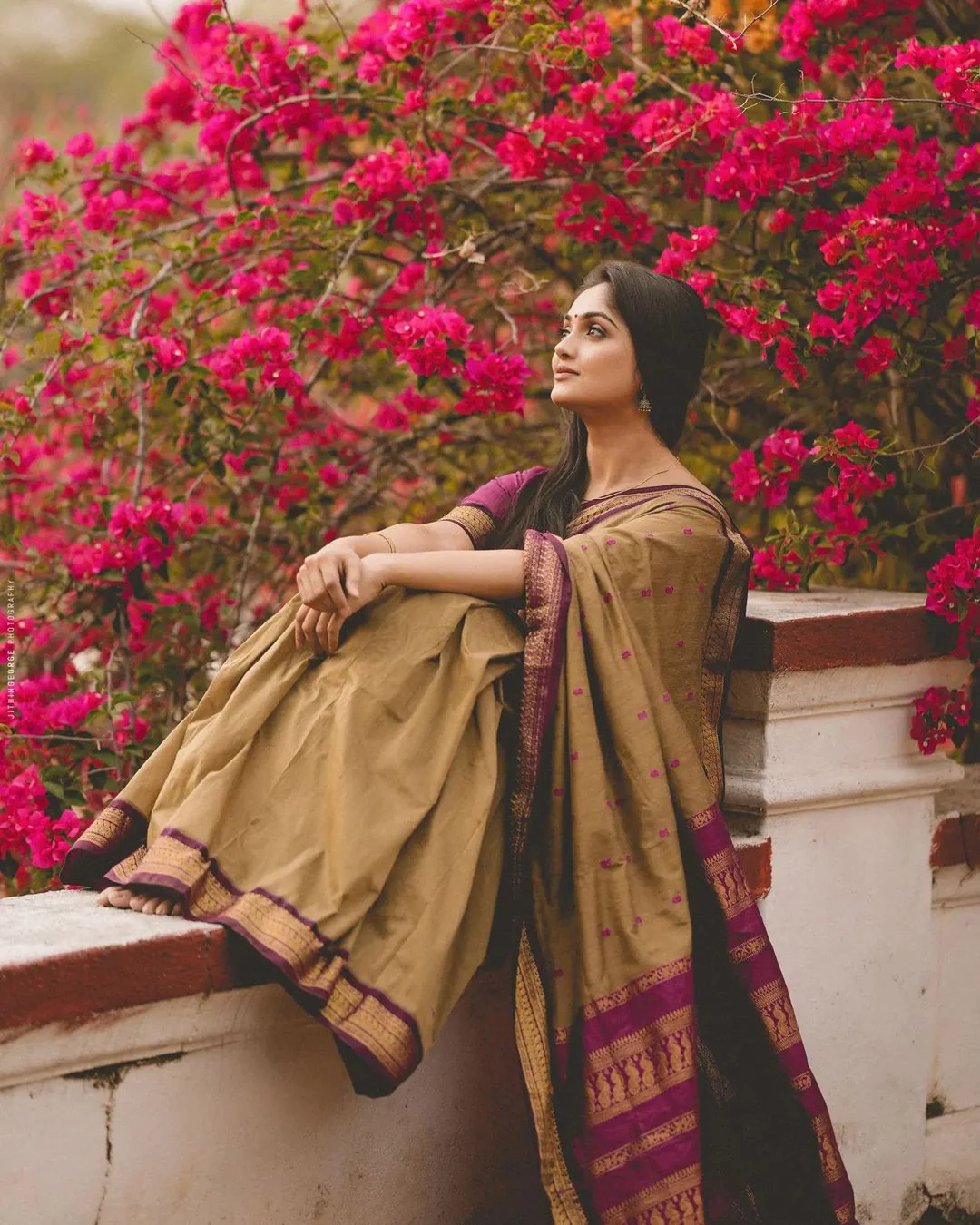 Chickoo With Purple Pure Soft Semi Silk Saree - Suratm 3