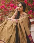 Chickoo With Purple Pure Soft Semi Silk Saree – Suratm