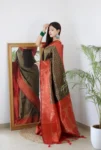 DARK GREEN & RED BORDER 1